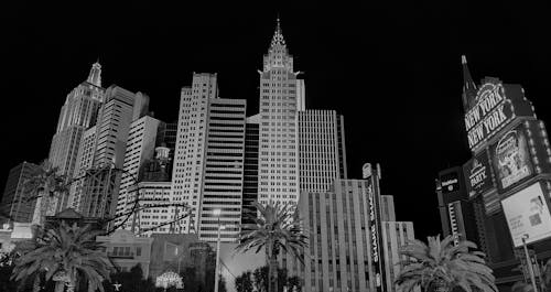 Wild Coins In Casino Technology: Enhancing Slots And Gaming Experiences